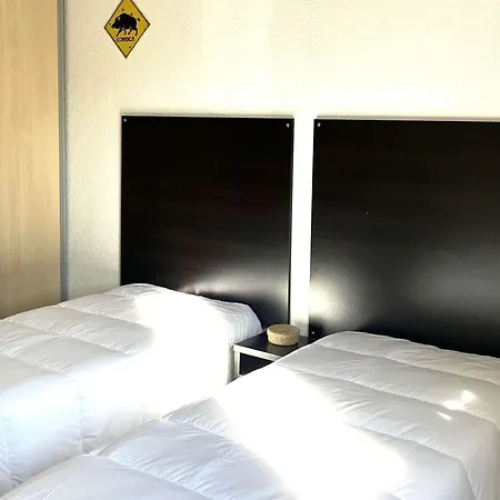 Saint-florent: 3 Pieces Climatise Avec Terrasse Et Piscine - Fr-1-650-39 Apartment