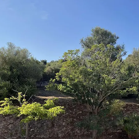 Saint-florent: 3 Pieces Climatise Avec Terrasse Et Piscine - Fr-1-650-39 Apartment